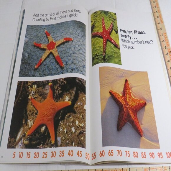 Skip Counting BIG BOOK (almost 2 feet tall) with teacher pages CLASSROOM SIZE - Picture 7 of 16